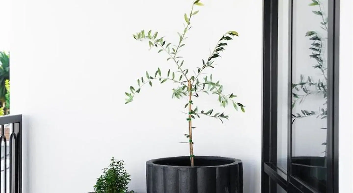 St Hugh Hotel Wagga Wagga Landkarte