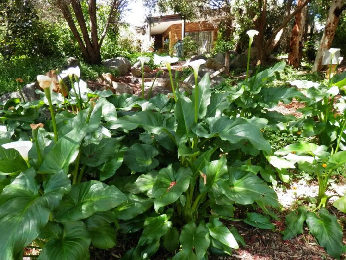 The Hideaway Luxury B&B Retreat Garten