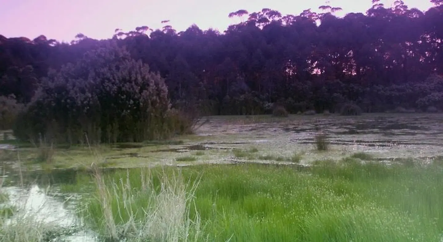 Bewong River Retreat LANDSCAPE