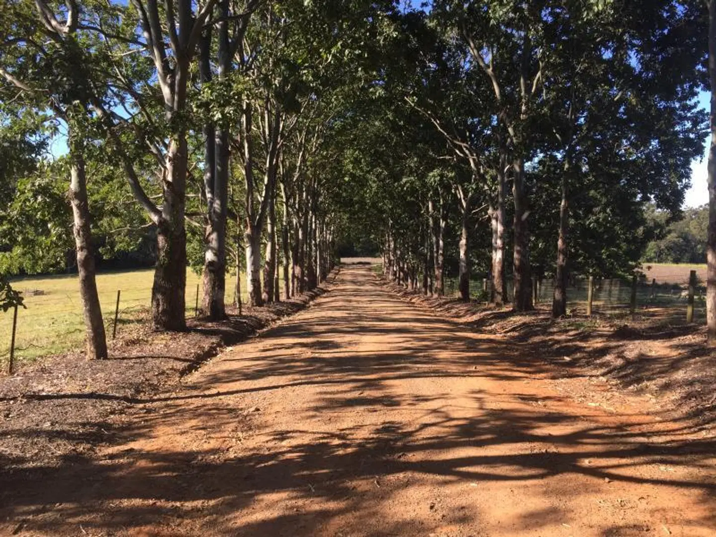 Blackwattle Farm LANDSCAPE