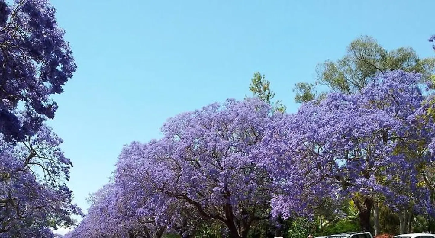 Andavine House - Bed & Breakfast Tiere
