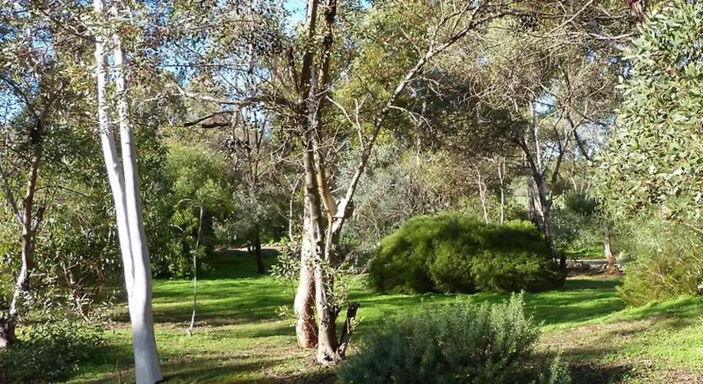 Watervale Retreat LANDSCAPE