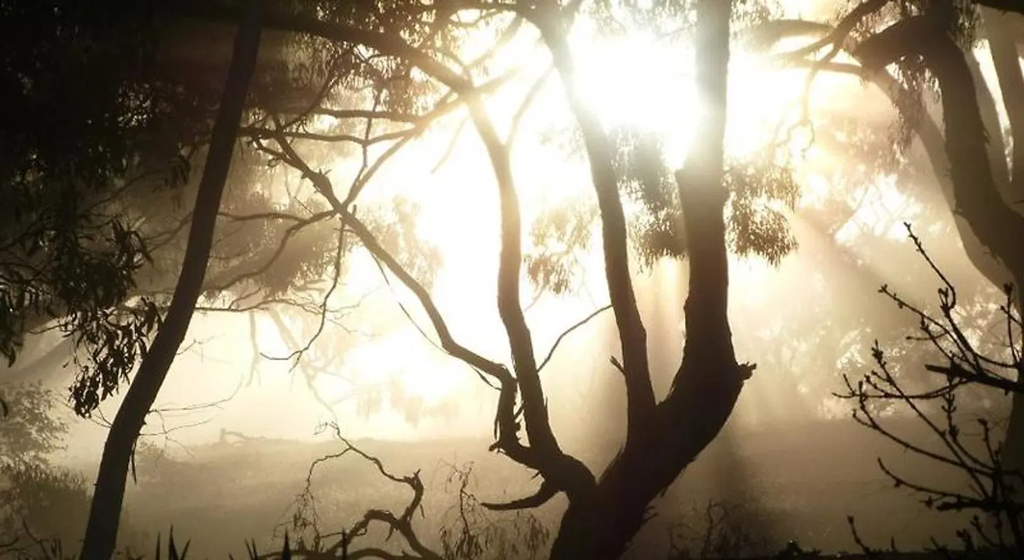 Watervale Retreat LANDSCAPE