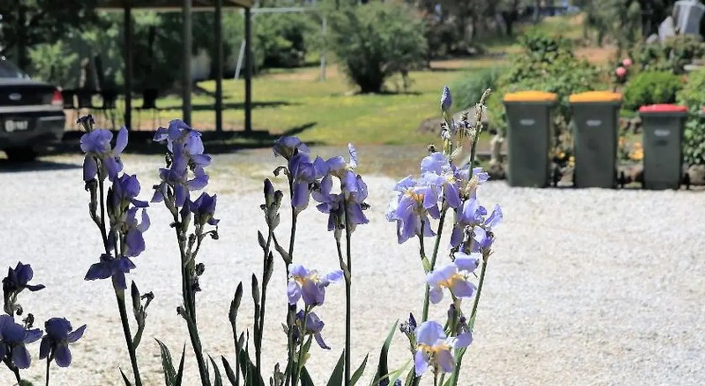 Wattle Grove Motel Maryborough Tiere