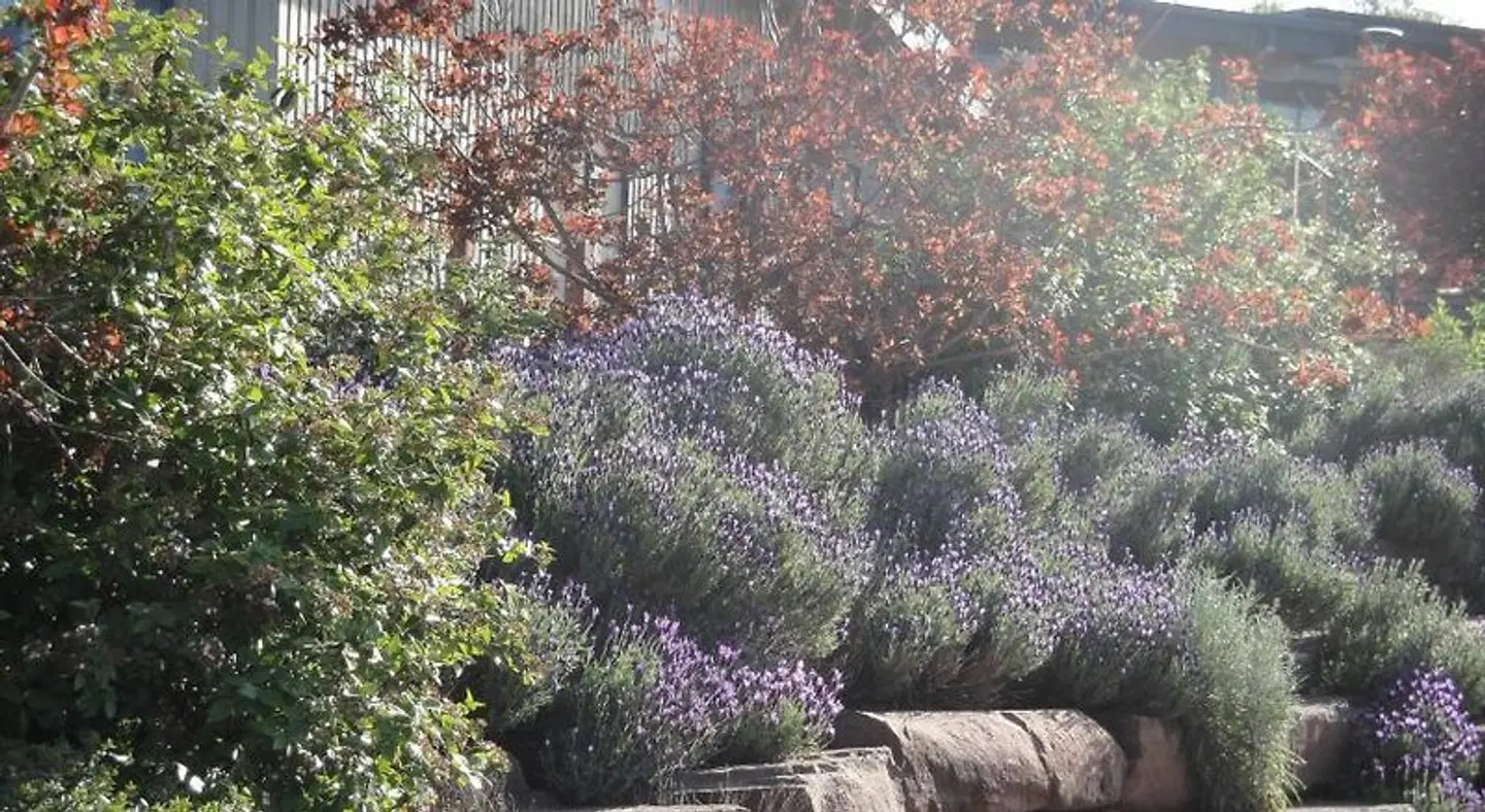 Off Mountain Accommodation Garten