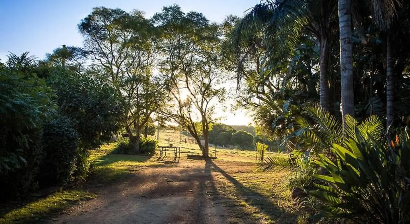 Hillview Cottages LANDSCAPE