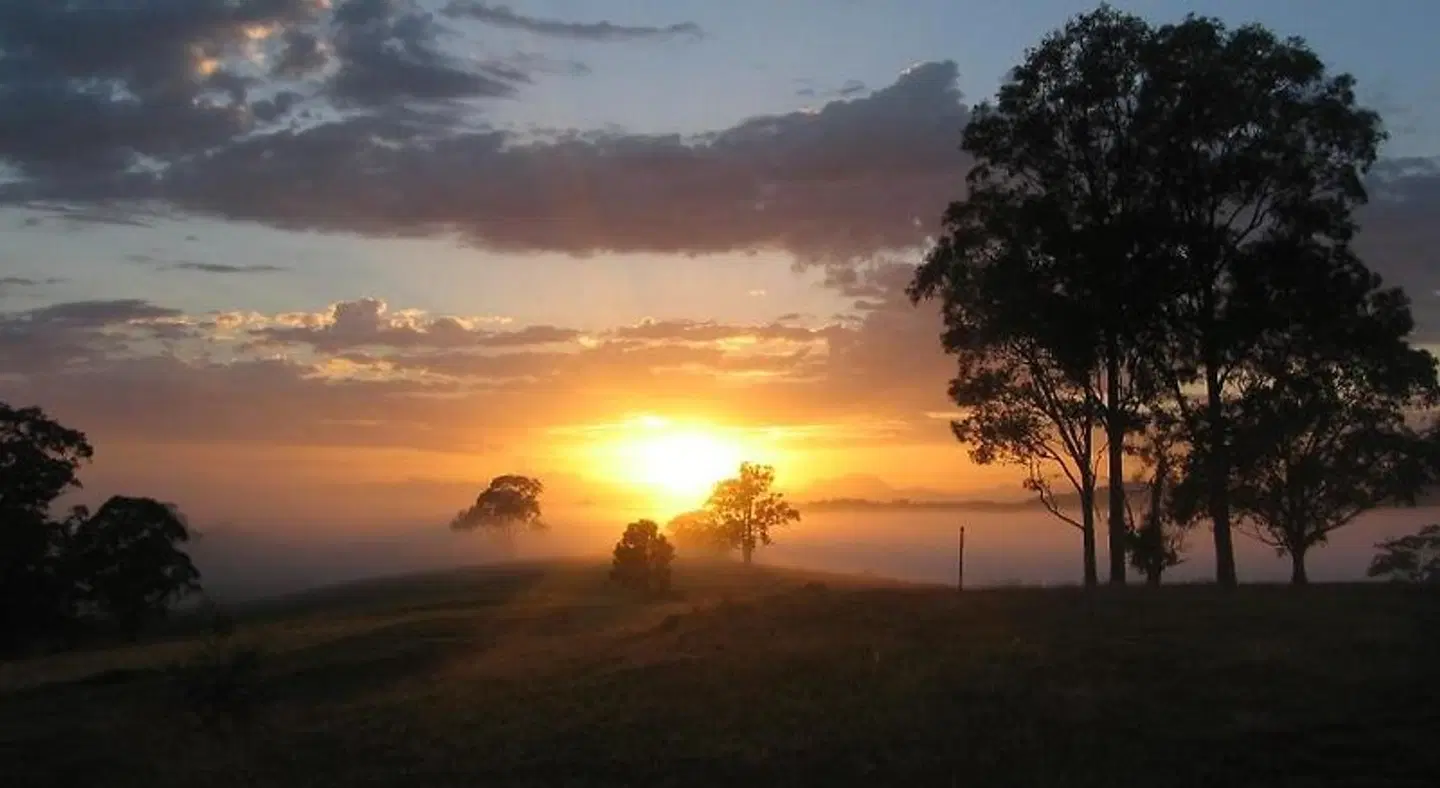 BellbirdHill Bed & Breakfast LANDSCAPE