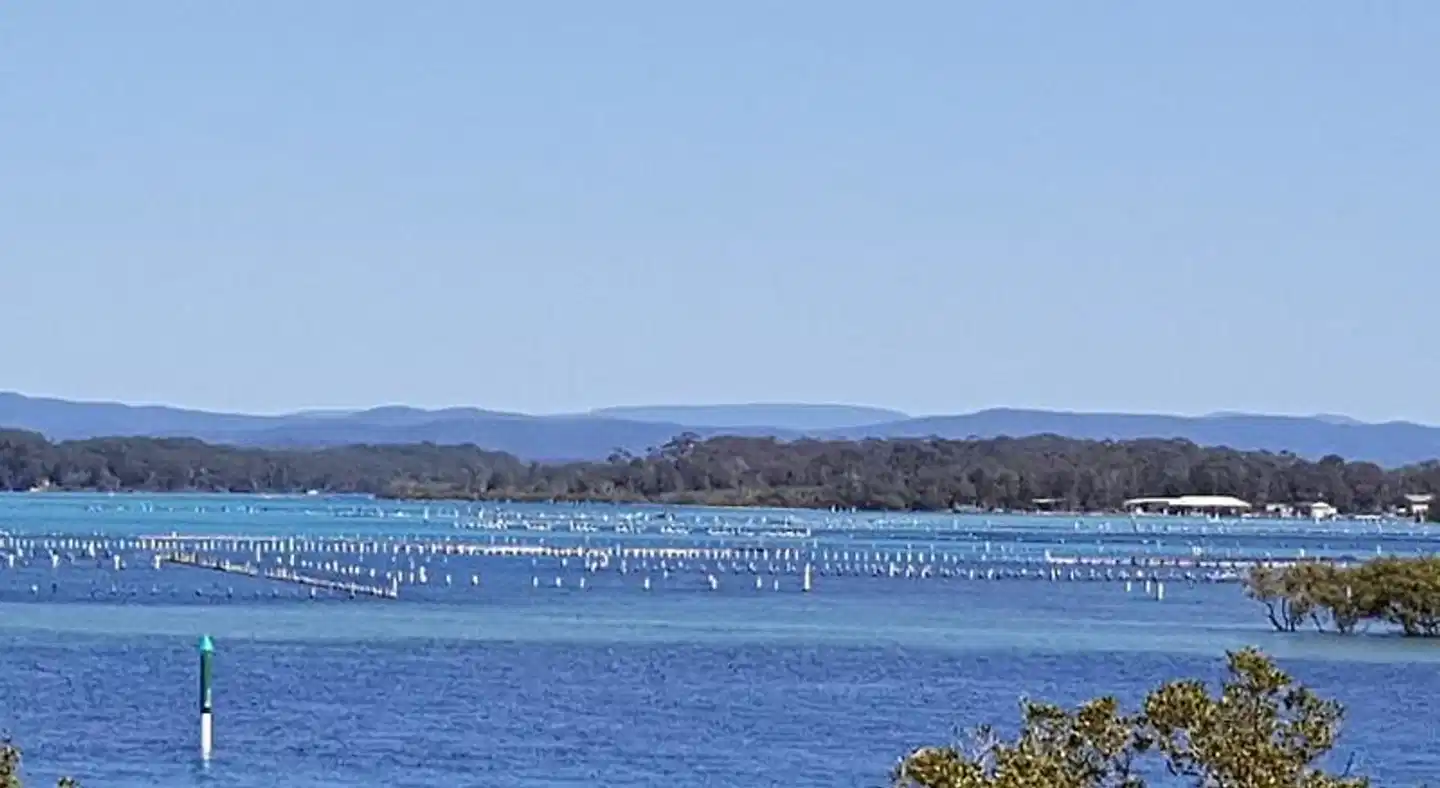 CHILL-OUT LAKESIDE - Forster Landschaft