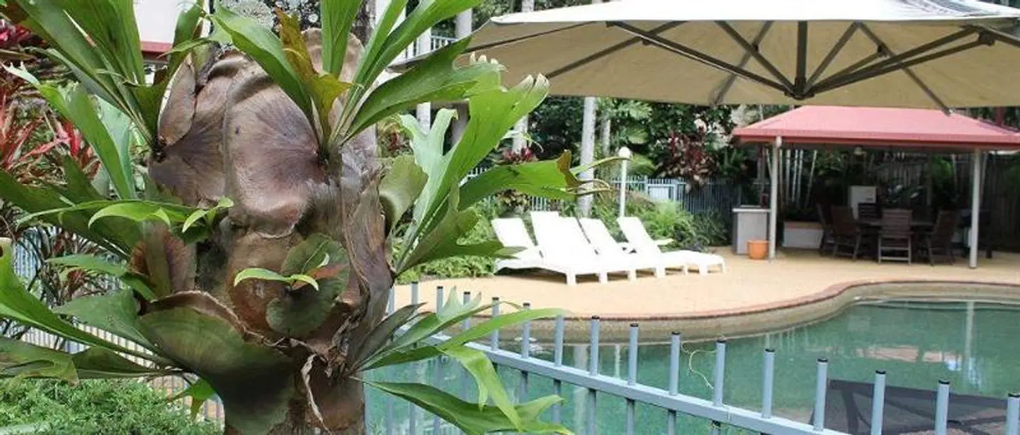 Cairns Reef Apartments & Motel Garten