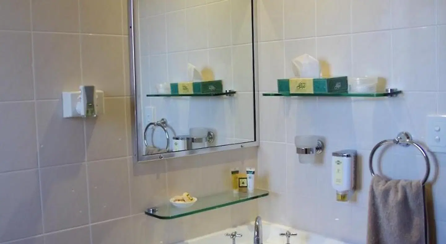 Stannum Lodge Motor Inn Badezimmer