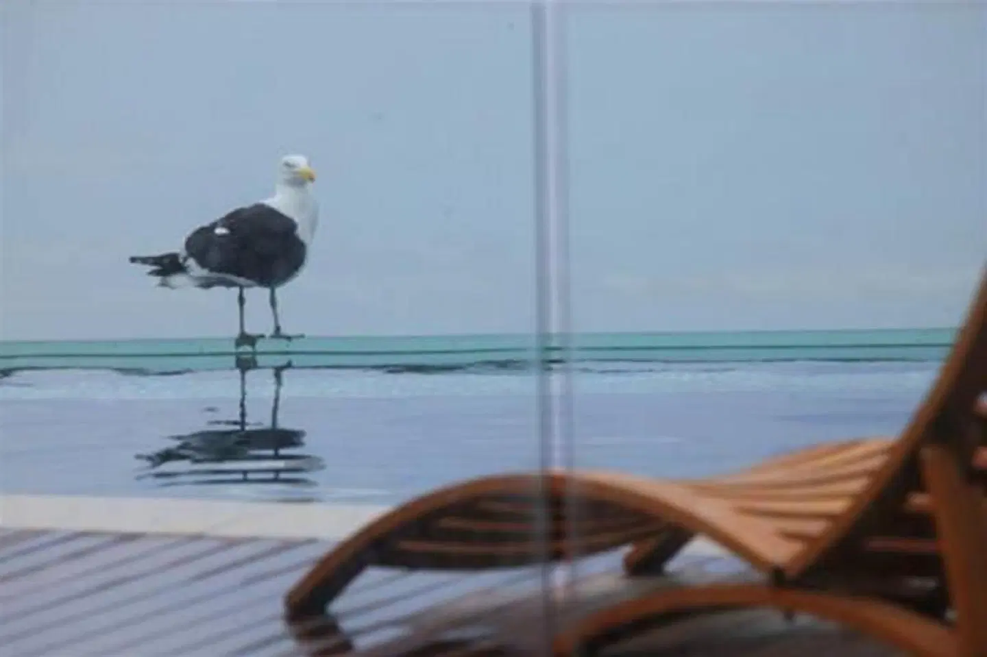 Periwinkle Lodge Guest House OUTDOOR_POOL