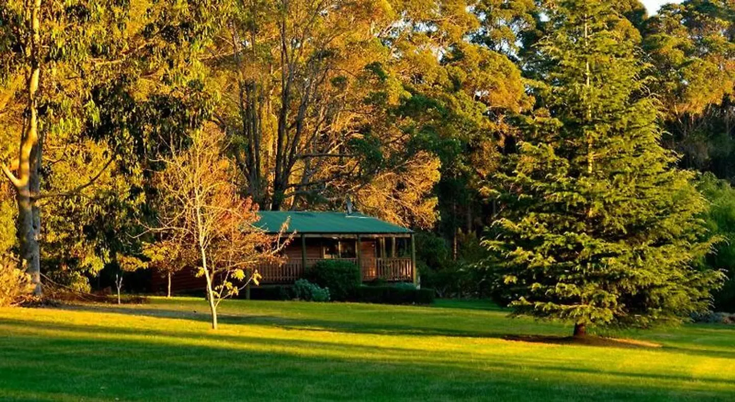 Diamond Forest Farm Stay Garten