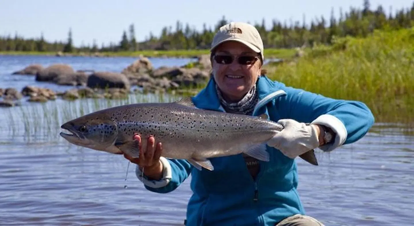 Tuckamore Lodge Tiere