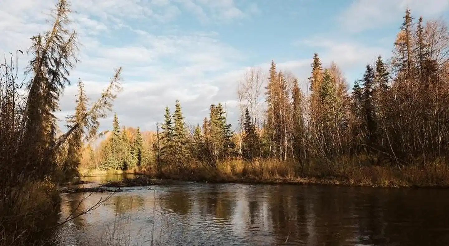 Maria's Creekside Landschaft