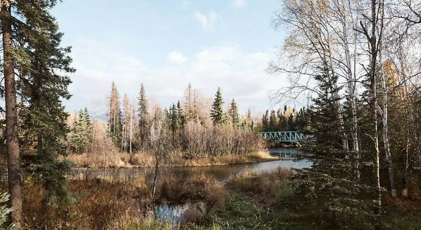 Maria's Creekside Landschaft