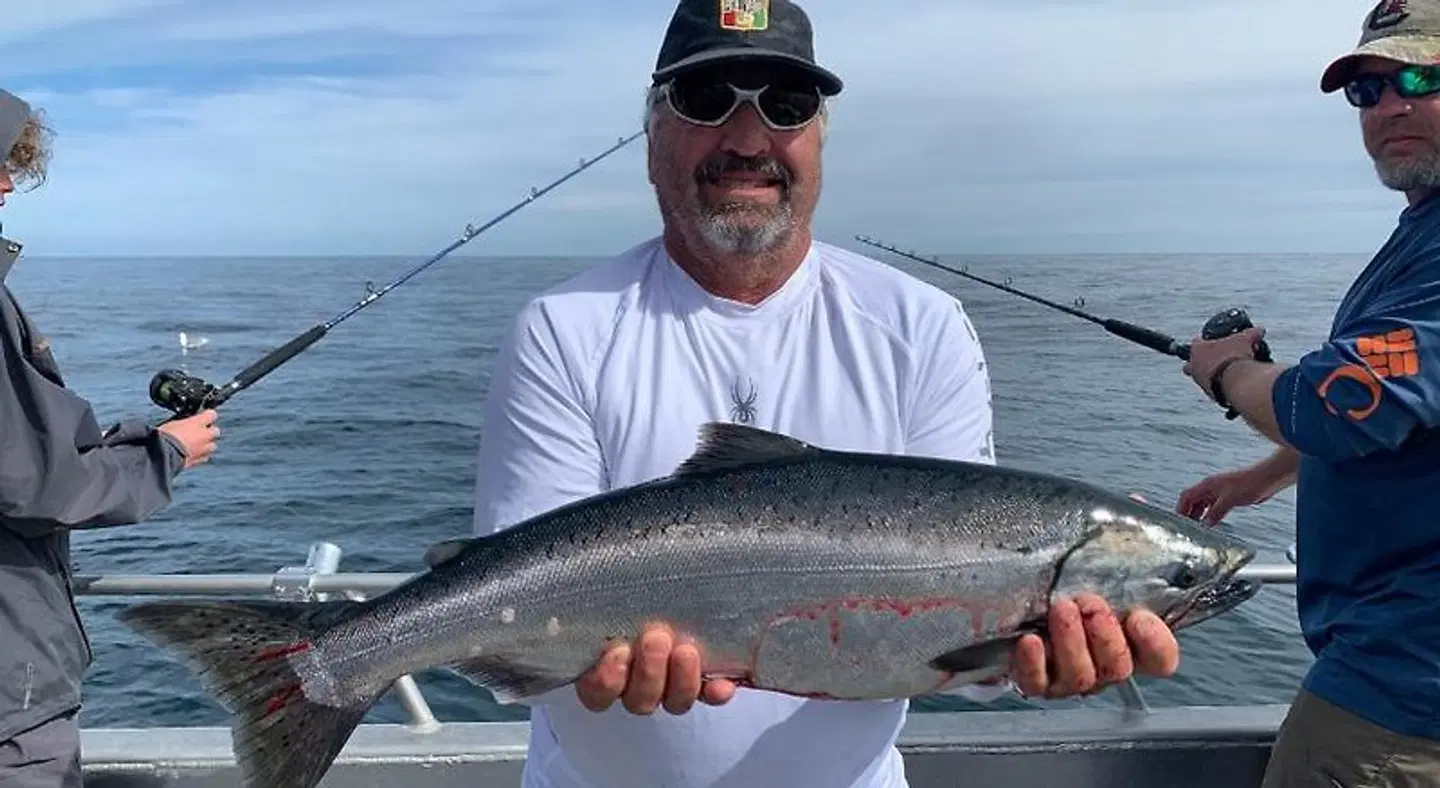 Bell in the Woods Tiere