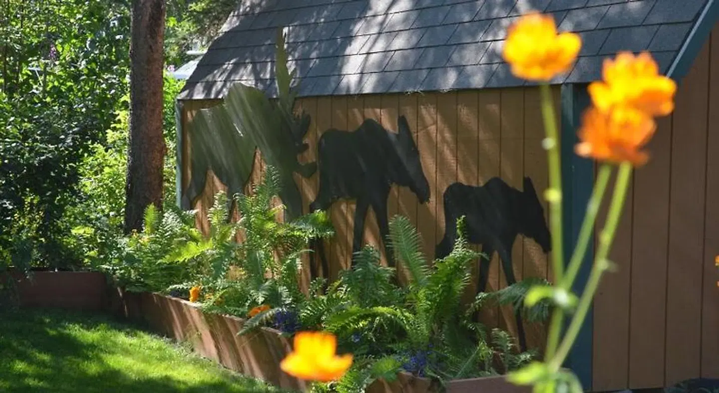Alaska's Lake Lucille Bed & Breakfast Tiere