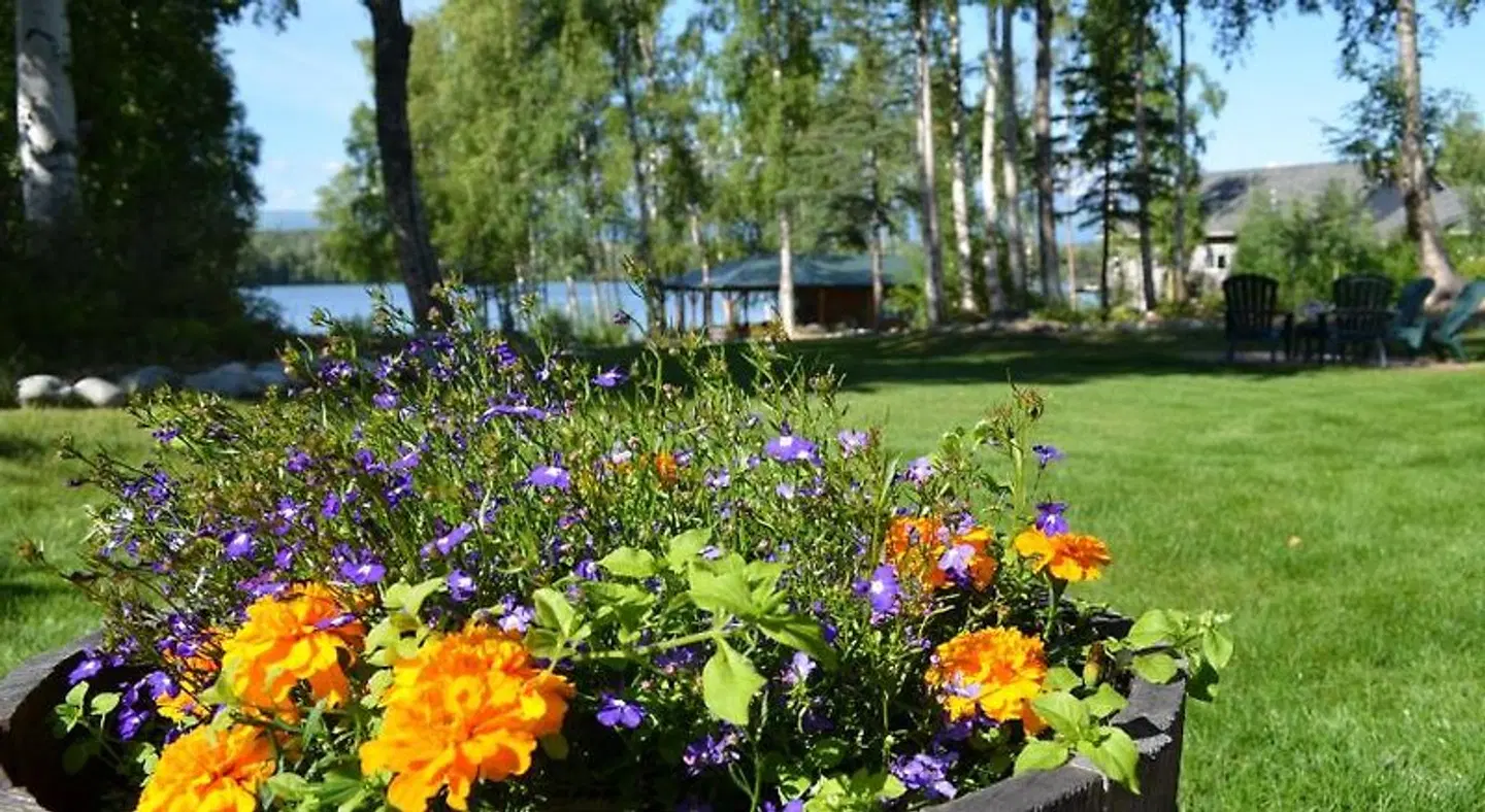 Alaska's Lake Lucille Bed & Breakfast Garten