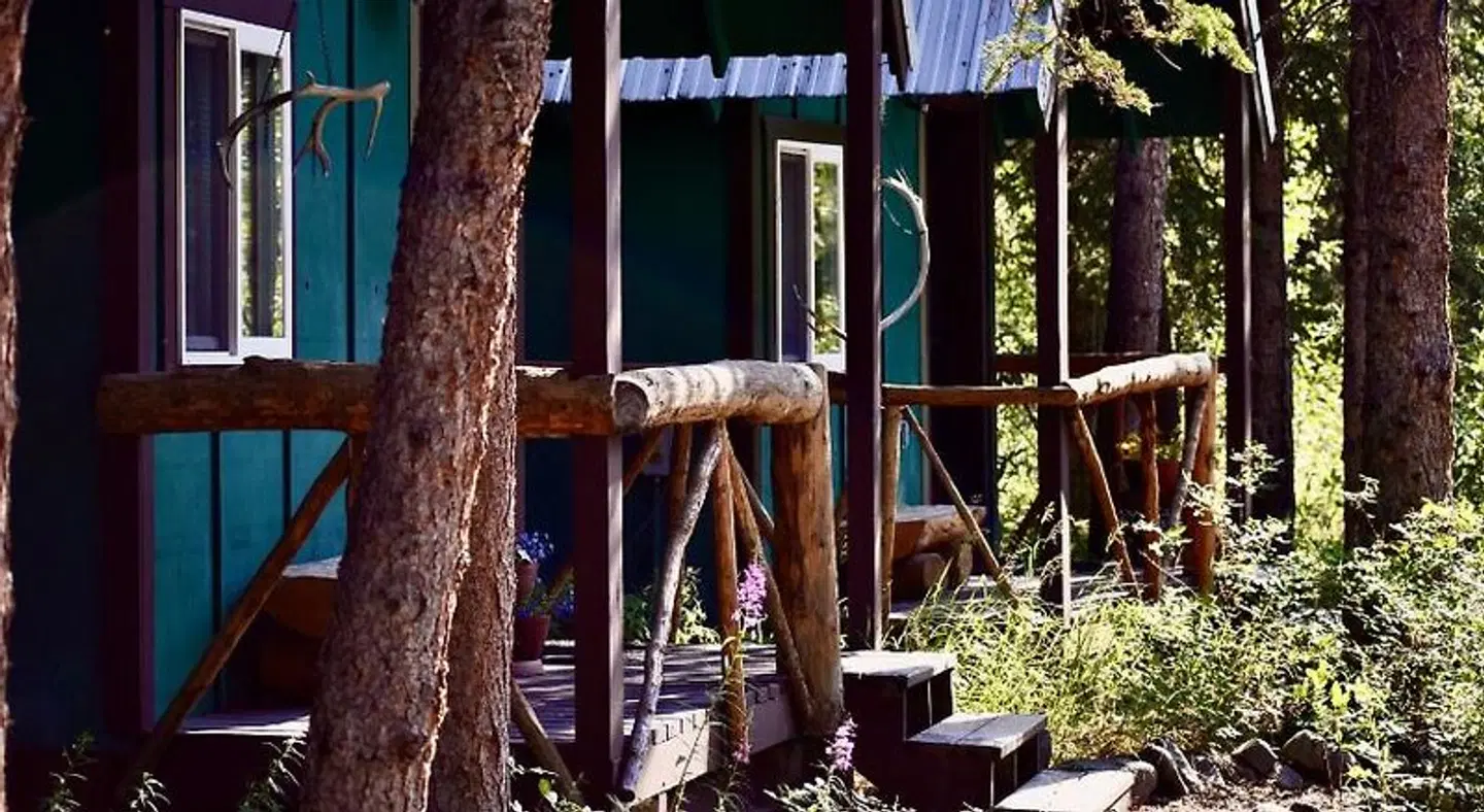 Denali Perch Resort Tiere