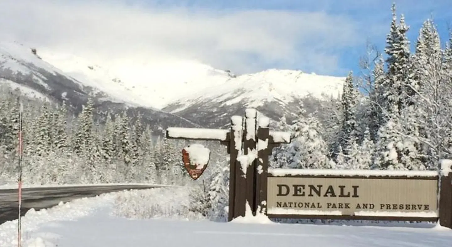 Denali Primrose B&B LANDSCAPE