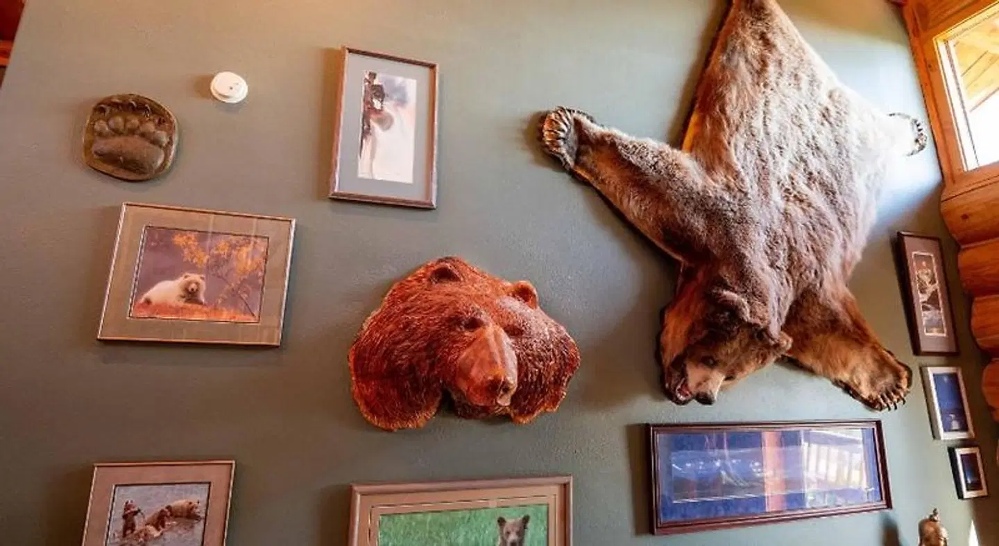 Good Karma Inn Tiere