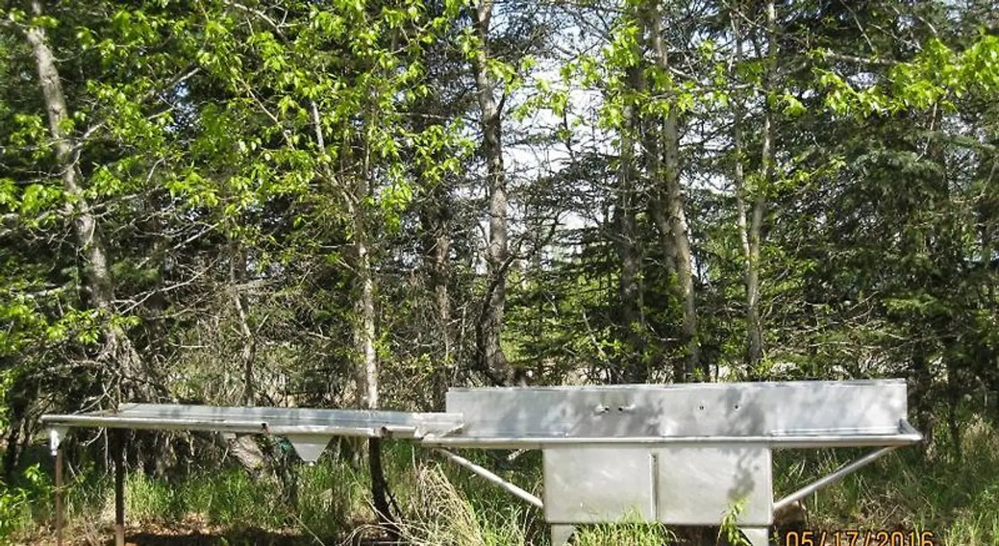 Whispering Winds Retreat B&B LANDSCAPE