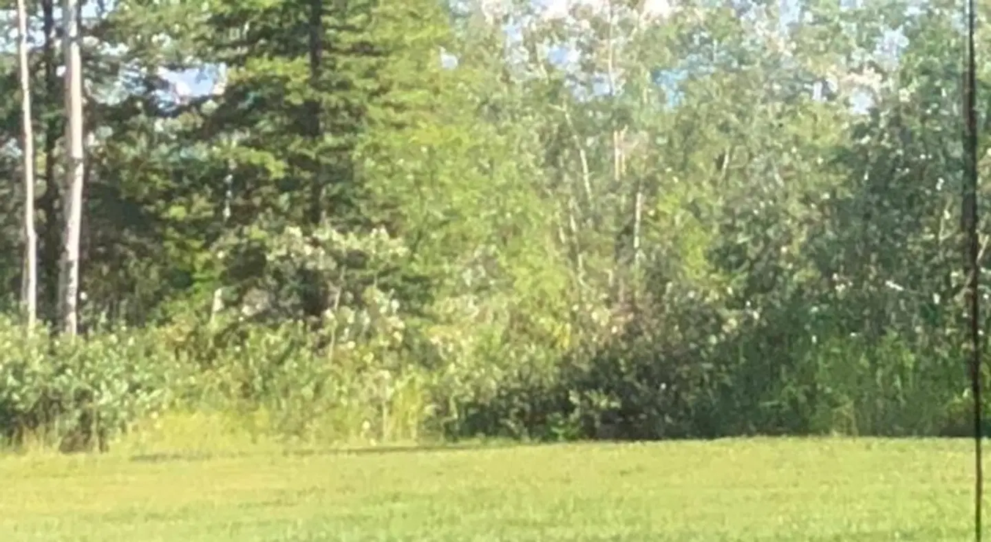 Sawinglogzz Log Cabin LANDSCAPE