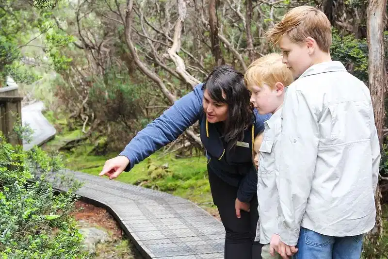 Peppers Cradle Mountain Lodge – Hotelfoto