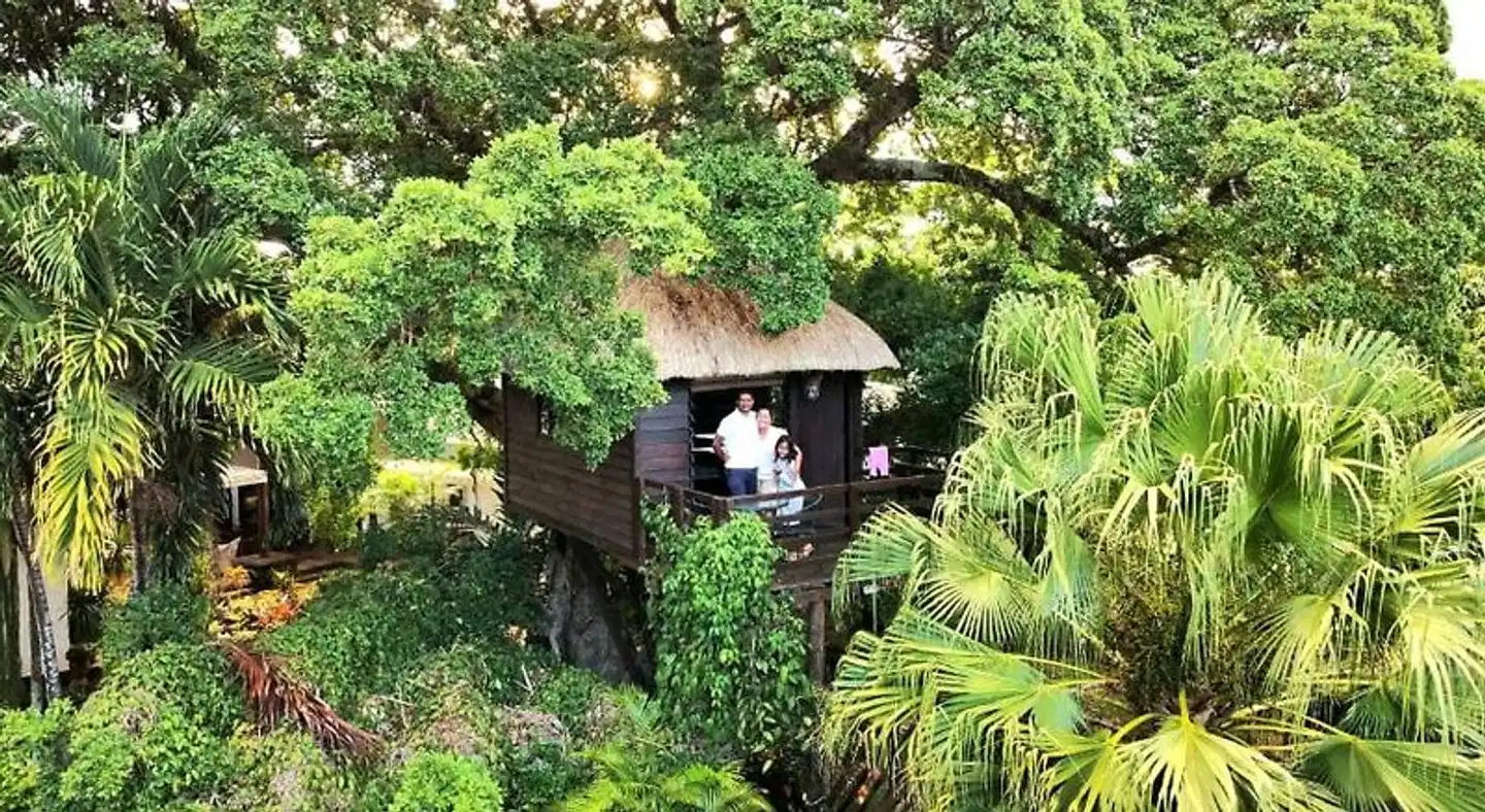 Tree Lodge Mauritius Garten