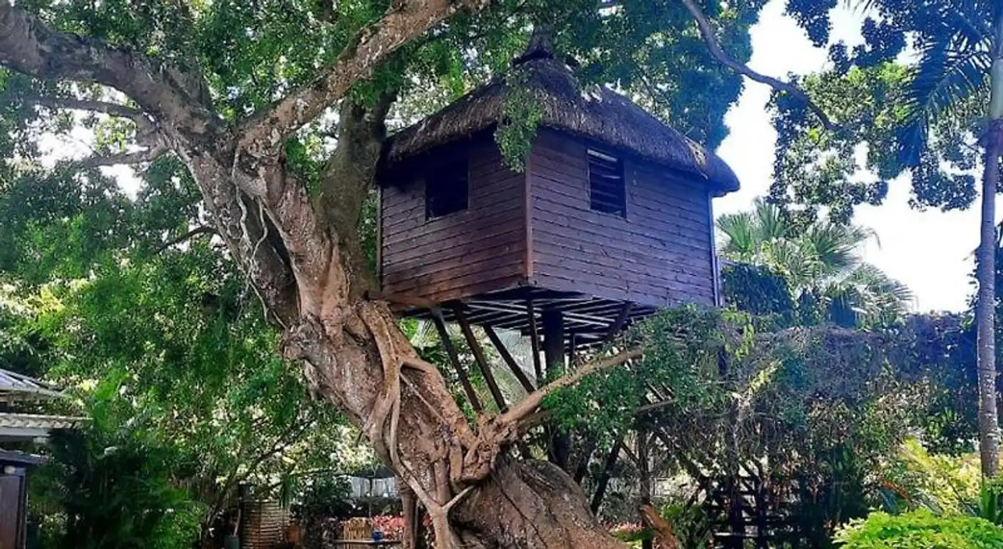 Tree Lodge Mauritius Aussenansicht