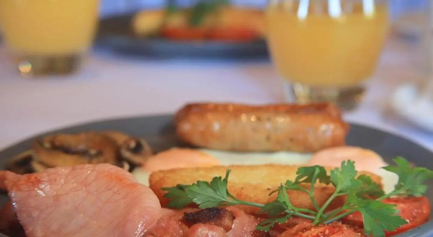 Riverland Motor Inn Tiere