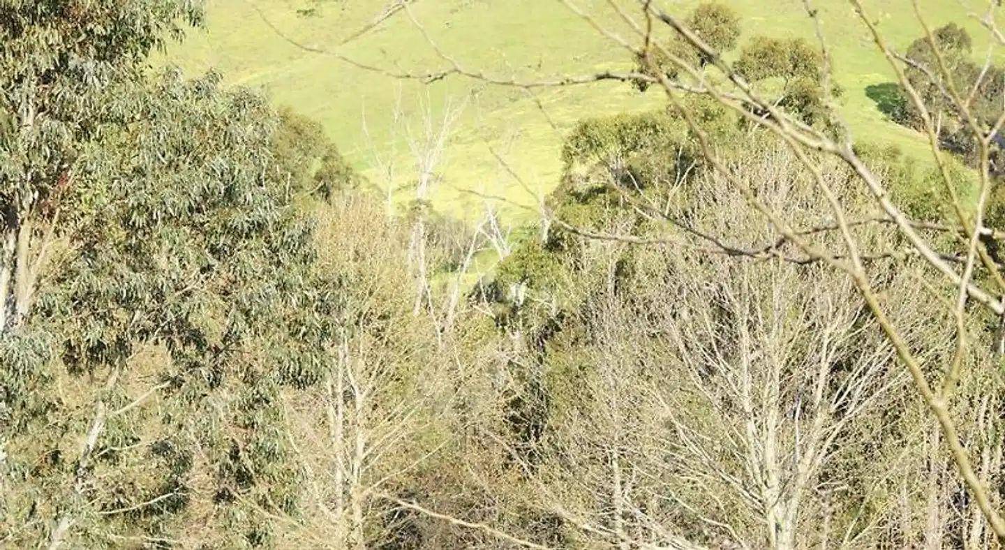 Halls on Falls Homestead Sport und Entertainment