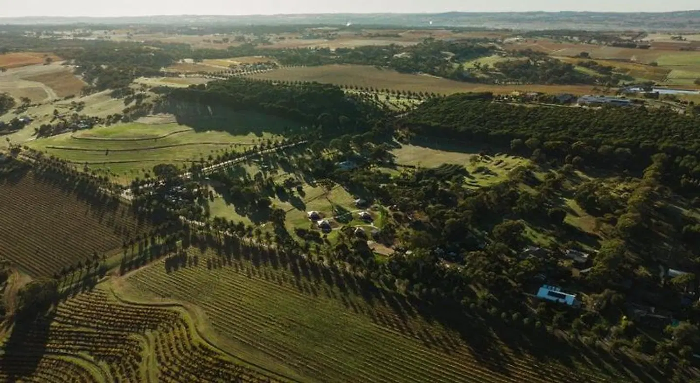 CABN X Seppeltsfield Barossa LANDSCAPE