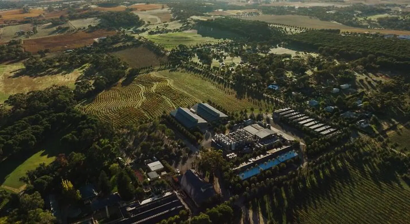 CABN X Seppeltsfield Barossa LANDSCAPE