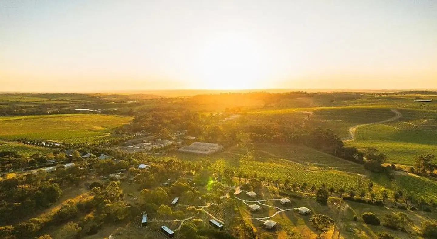 CABN X Seppeltsfield Barossa LANDSCAPE
