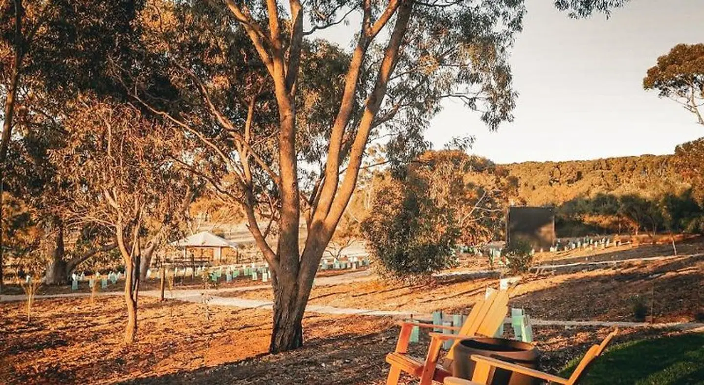 CABN X Seppeltsfield Barossa LANDSCAPE