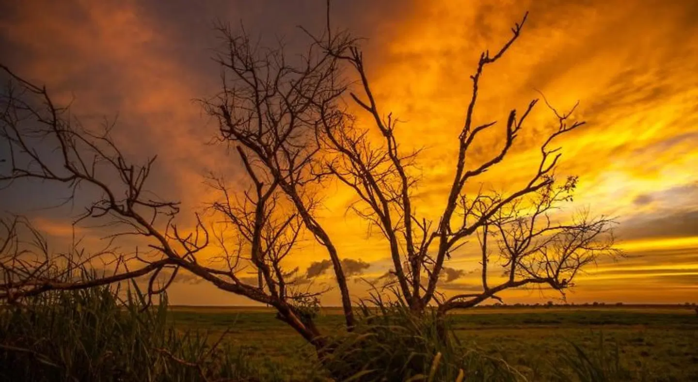 Finniss River Lodge LANDSCAPE