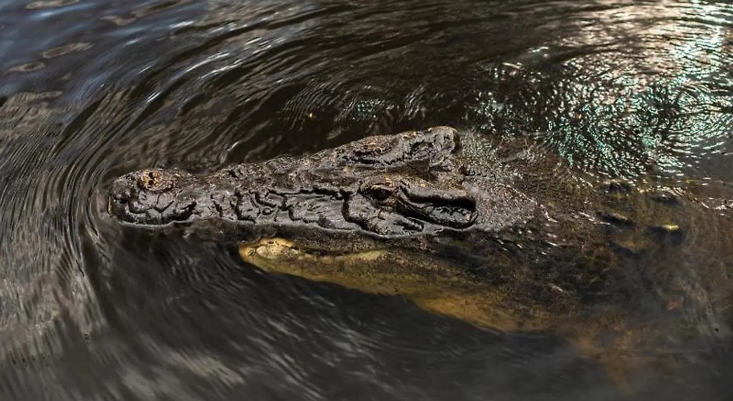 Finniss River Lodge LANDSCAPE