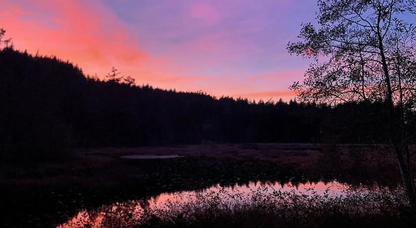Otter's Pond Bed and Breakfast LANDSCAPE