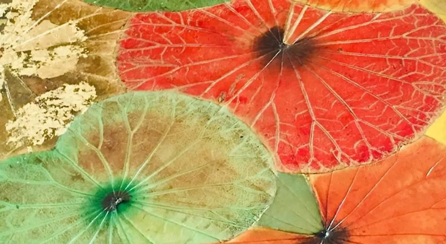 The Barn B&B Walla Walla Landkarte