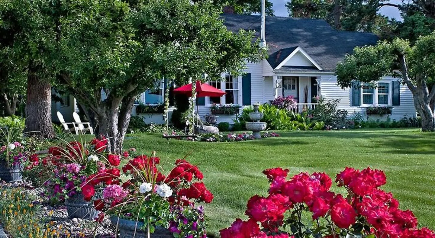 Cozy Rose Inn Garten
