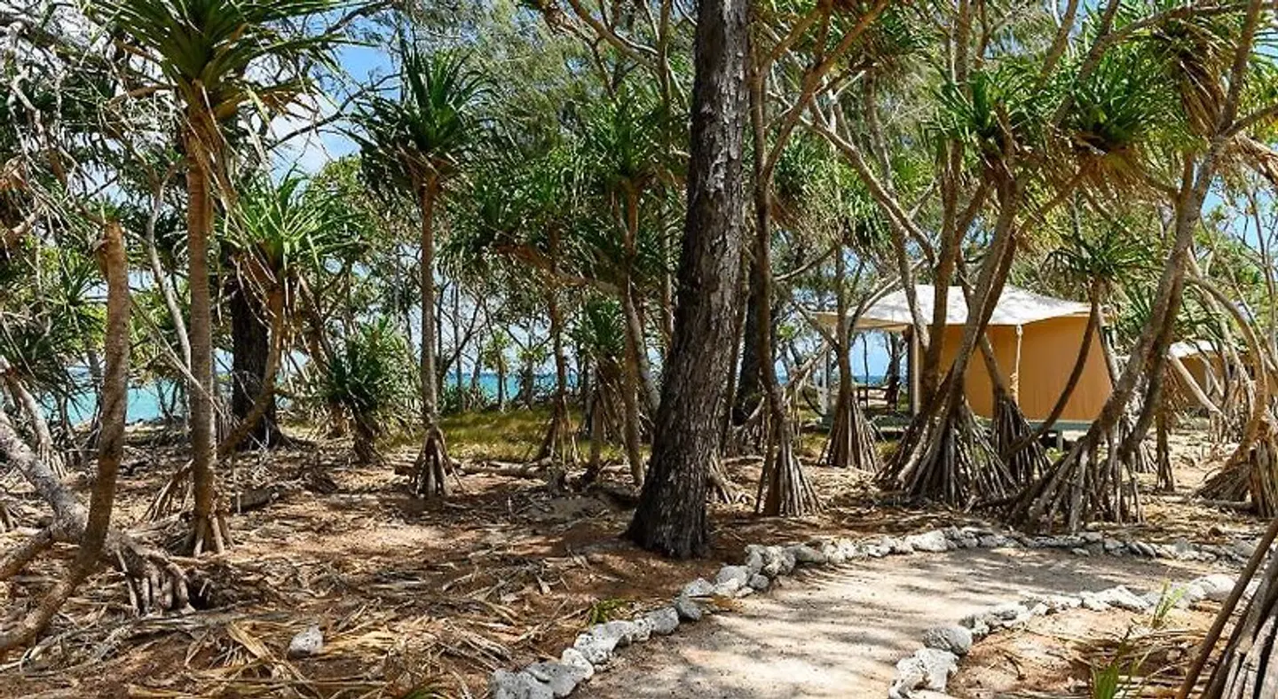 Wilson Island Resort LANDSCAPE