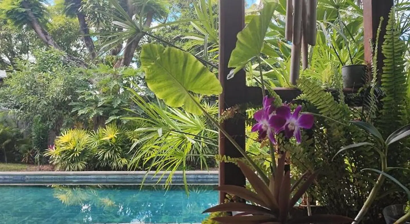 Sweet Island OUTDOOR_POOL