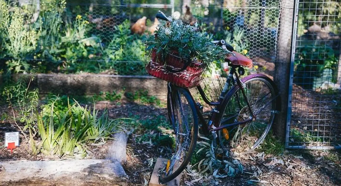 Bombah Point Eco Cottages Garten