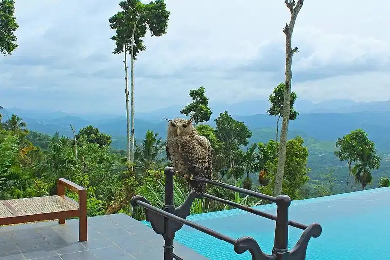 Aarunya Nature Resort and Spa – Hotelfoto