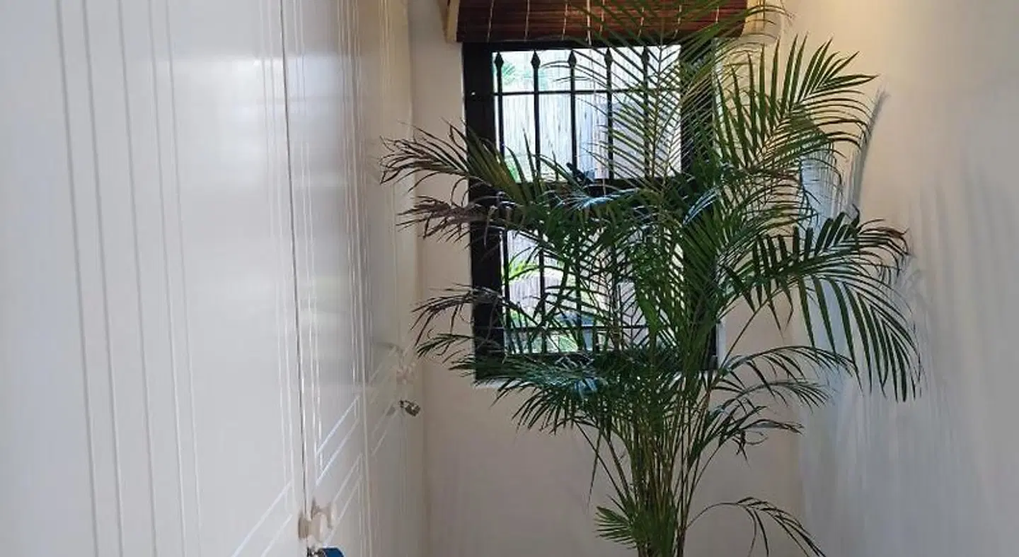 Sweet Island LOUNGE_LOBBY