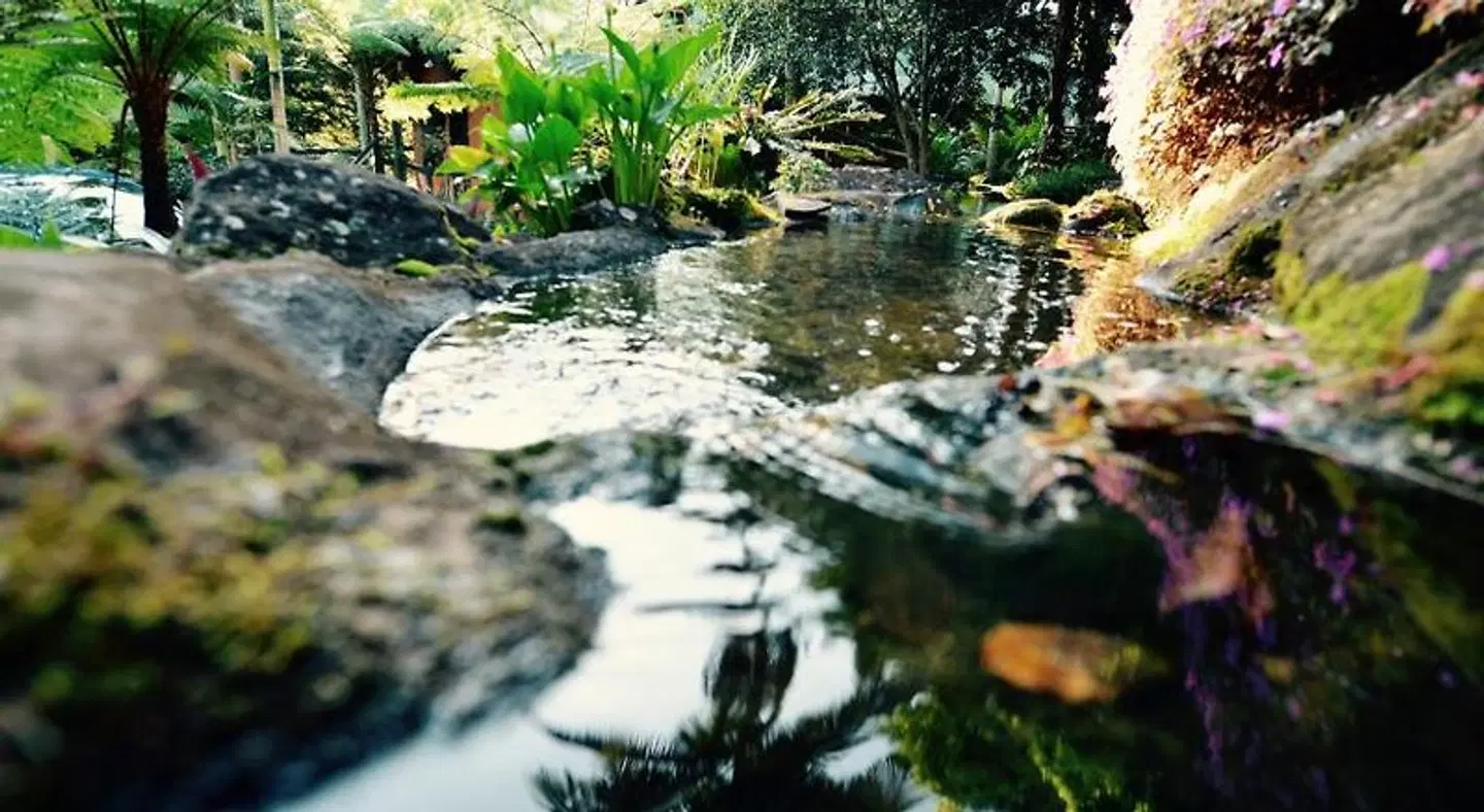 Escarpment Retreat & Day Spa LANDSCAPE