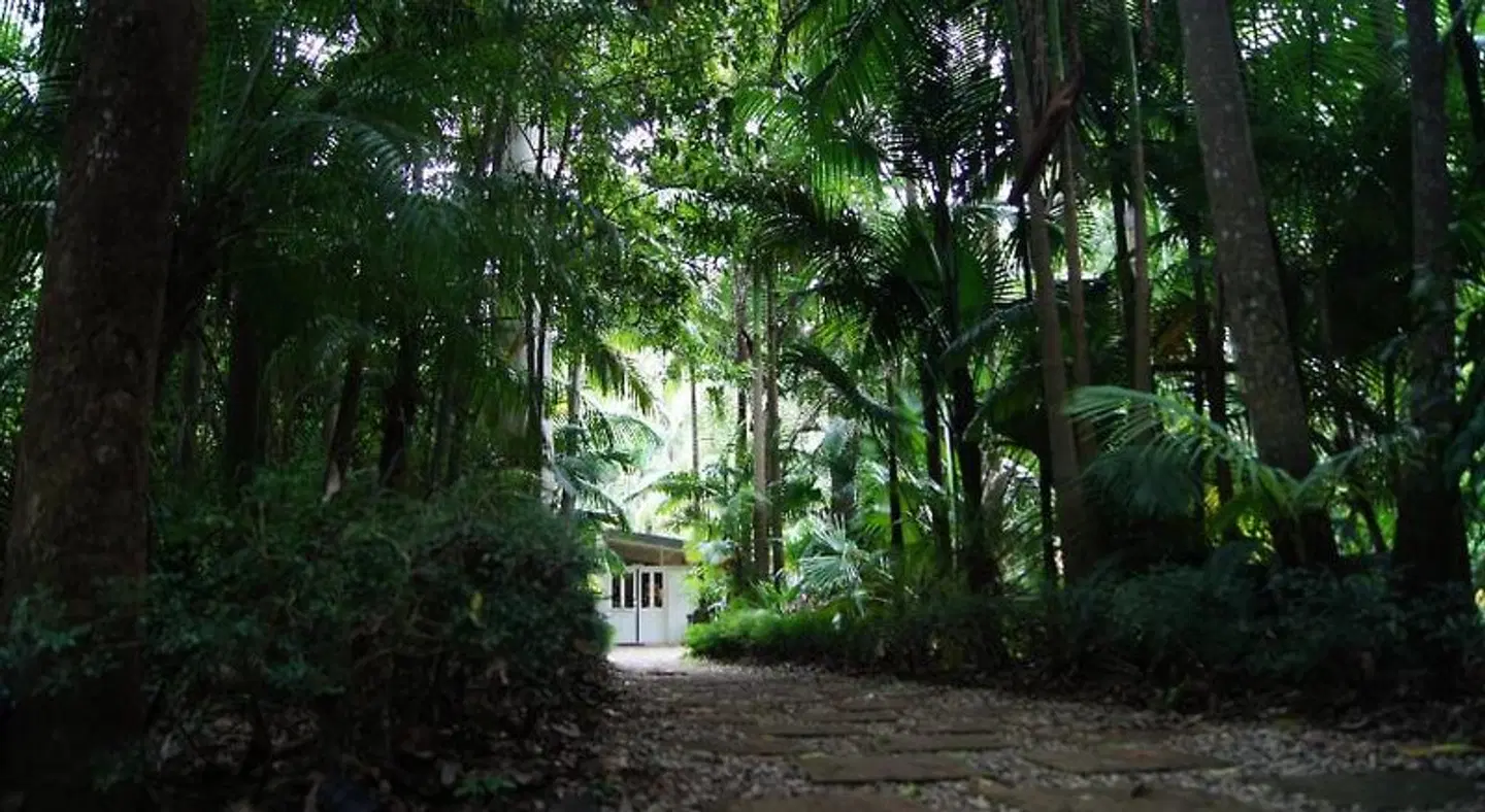 Songbirds Rainforest Retreat Garten