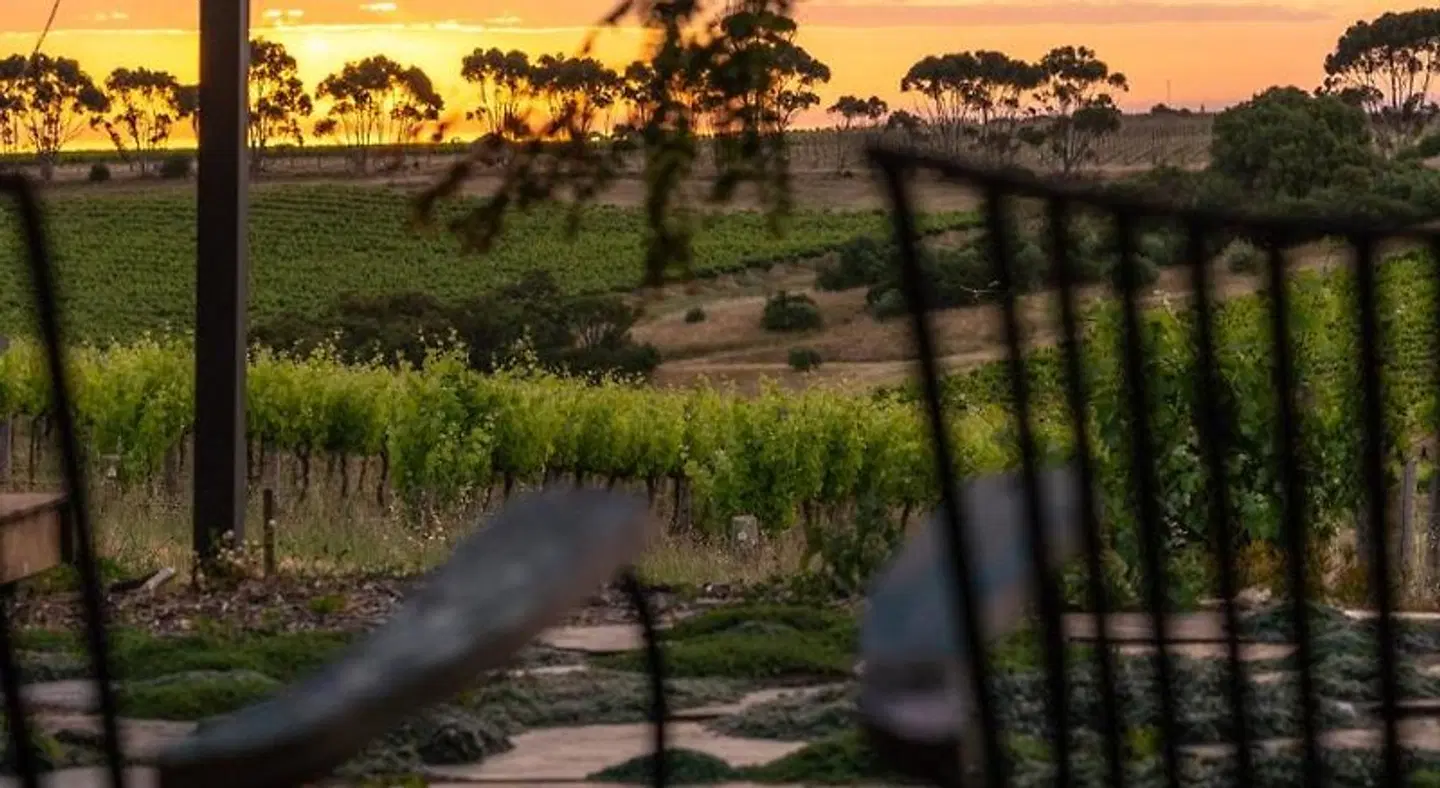 Hotel California Road Inkwell Wines LANDSCAPE