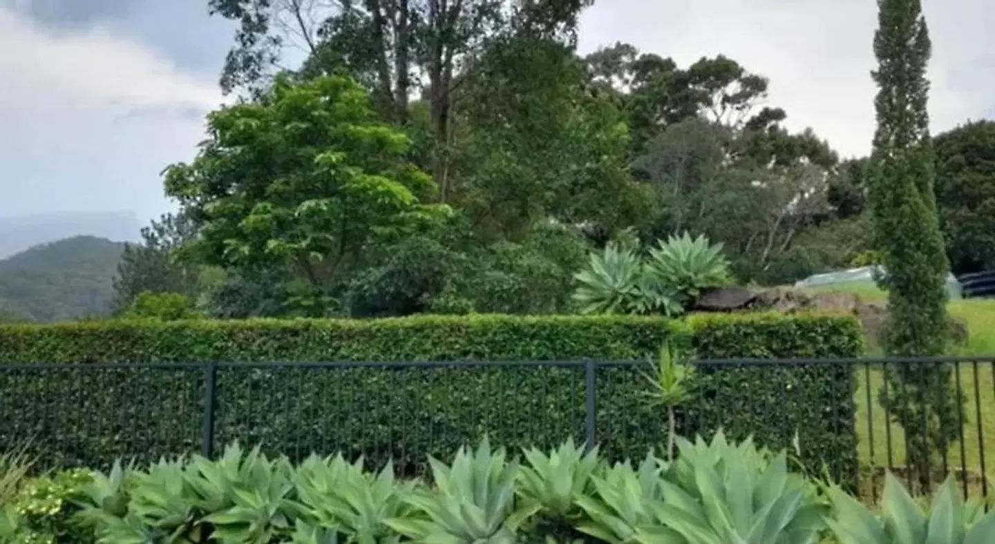 A View of Mt Warning Bed and Breakfast LANDSCAPE